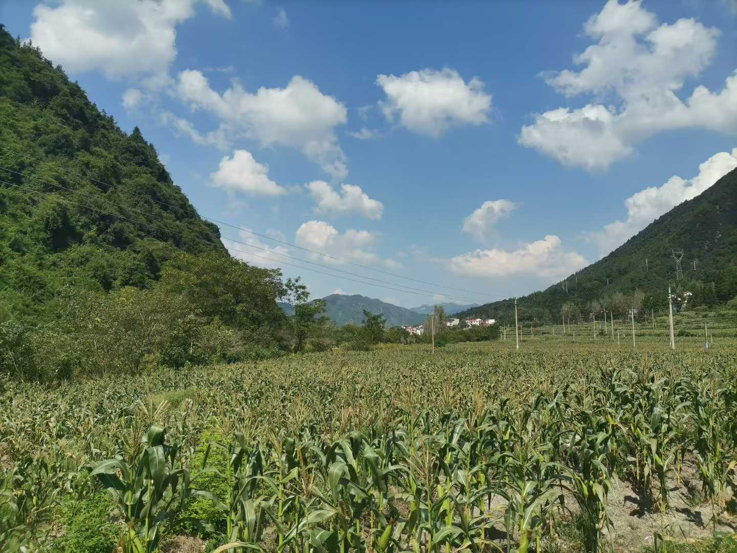 图片 1.png 图片 1.png